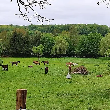 Au Coeur De La Nature Et Des Chevaux Avec Jacuzzi Sauna Casa de Férias Kalhausen