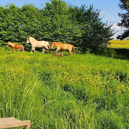 Au Coeur De La Nature Et Des Chevaux Avec Jacuzzi Sauna Casa de Férias Kalhausen