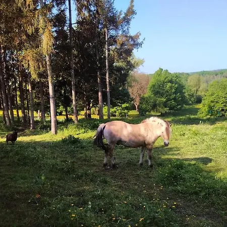 Au Coeur De La Nature Et Des Chevaux Avec Jacuzzi Sauna Casa de Férias *