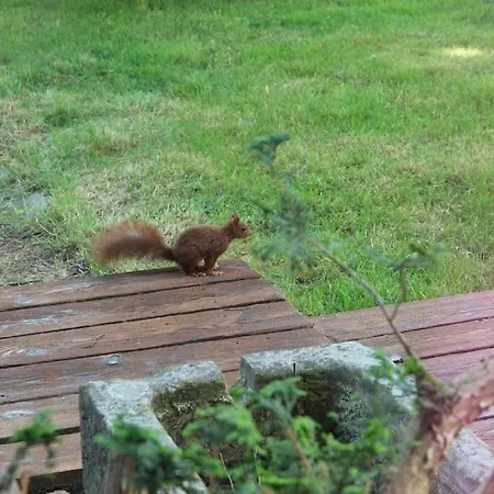 Casa de Férias Au Coeur De La Nature Et Des Chevaux Avec Jacuzzi Sauna *