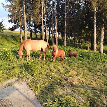 Au Coeur De La Nature Et Des Chevaux Avec Jacuzzi Sauna Casa de Férias
